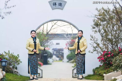 金庭復園樓盤詳情 金庭復園官方網站 金庭復園千萬別錯過了