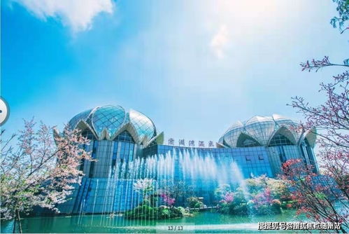 嘉善 售樓處電話 地址 在售面積 戶型 圖文分析 樓盤講解